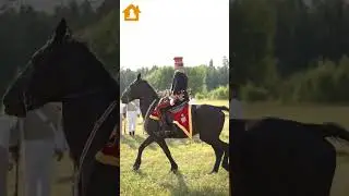 SURPRISING ANIMAL Footage: A Man Riding A Horse 🐴 | Pets Guideline