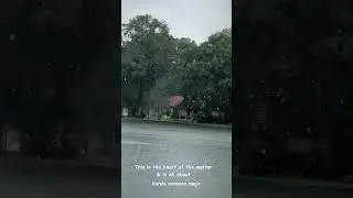 Kerala Monsoon Magic 🌧️ God's Own Country in Rainy Splendor! 🌿 #kerala #keralatourism #rcb #ipl2025
