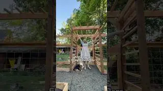 A Cottage Garden Part 4