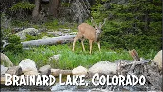 Landscape Photography | Brainard Lake, Colorado | Progress!