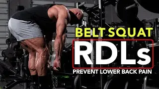 How to do Romanian Deadlifts with the Belt Squat Machine (Proper Form)