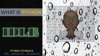 [PYTHON TUTORIAL] What is IDLE?