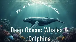 Whale & Dolphin Songs at 741 Hz &bull; 2 Hours / Cantos de Ballenas y Delfines