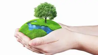 Happy World Environment Day | Jetsup Holidays
