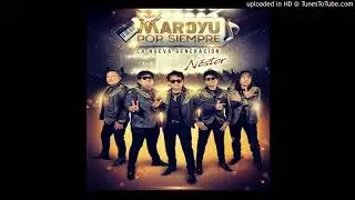 Maroyu Por Siempre - Celosa (Live) 2019