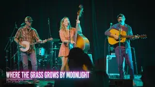 80 Proof Alice - Where the Grass Grows by Moonlight - Live from Wave Wichita 10/19/24