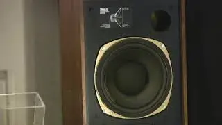 Tannoy Eaton hpd 295 dual concentric 10&rdquo; speakers