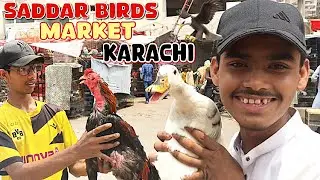 Saddr Birds Market 2024 in Karachi ||bahut munasib rate mein Parinde he #saeedziavlog#foryou
