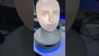 Speech Training Using Furhat Robot