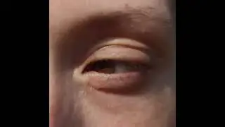 Zeelanding Festival - teaser
