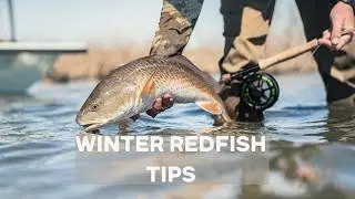 Fishing for Redfish in WINTER