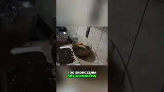 Ekspresowy deser z orzechami i kajmakiem