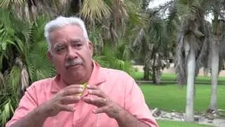 Michael Harrell talks with Rey Hernandez  ~ What in the world is going on؟