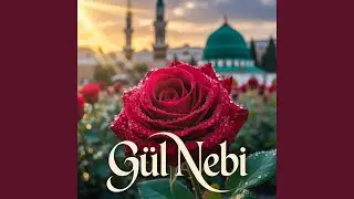Gül Nebi