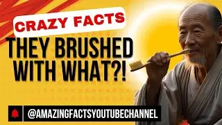 The First Toothbrush Was Made of Pig Hair?! | Weird History of Oral Hygiene