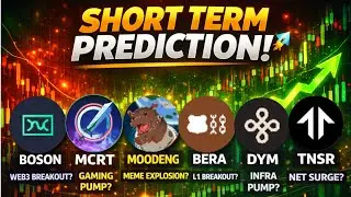 bera usdt | $BERA (Berachain)