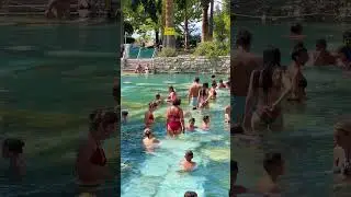 ✨️Magic of Nature Ancient Cleopatra Pool - Historical Columns in Healing Water🏝#cleopatra #pamukkale