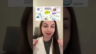Antioxidant Power for Whole-Body Wellness
