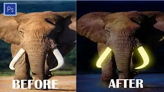Glow Effect - Photoshop Tutorial | Glowing Photoshop Effect | Elephant Teeth Glow.