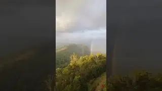 What a view from Binna Burra, Gold Coast Hinterlands