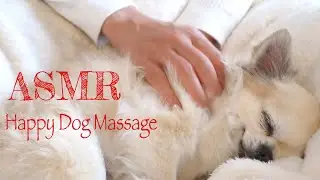 【ASMR】Feeling Happy Dog Massage /Animal Massage/Relaxation/(No talking)