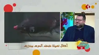 صفوان بن عيسى رئيس جمعية صيانة مدينة بنزرت تهيئة متحف الحوت ببنزرت