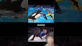 Dolphin Attack Jessica In Hindi  | Jessica Radcliffe Orca Attack | Dolphin #misleading #viraltest