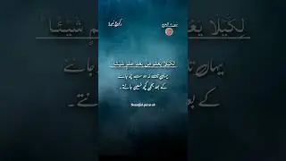The best quran |Surah hajj ruku1|best surah translation |top best quran #beautifulquranab 