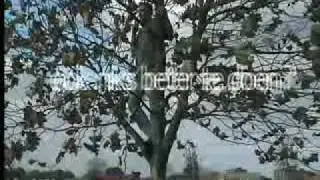 Freeloaded Promo0