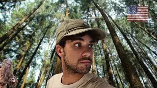 Buscando a Bigfoot en los bosques de Yosemite