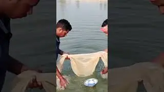how to check plankton in pond #zooplankton #fishinfo