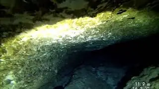 Australia - Mount Gambier, Tank cave. Video of G section to G5