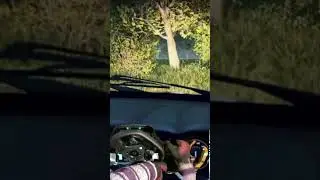 Dirt rally 2.0: Deer!! #dirtrally20 #crash