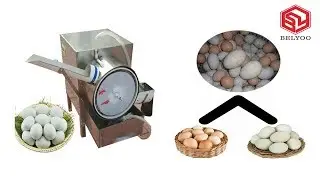 Automatic egg cleaning machine/chicken egg washing machine/egg processing line
