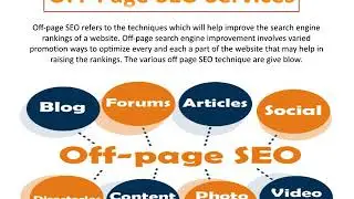 Best SEO Services In Buffalo - Digiwolves