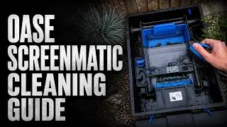 How To Clean The Oase Biotec Screenmatic 60000 Koi Pond FIlter System | “The Poor Mans Drum Filter”
