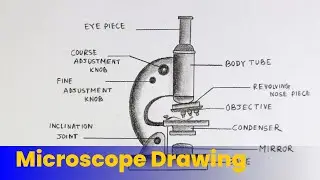 How to draw Microscope / Compound of Microscope / How to draw diagram of Microscope