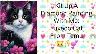 Kit Up A Diamond Painting With Me: Tuxedo Cat From Temu ✨️🐱💕 