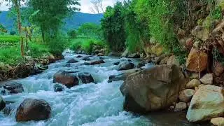 ABSOLUTELY CALM! Crystal Stream Water Sounds 10 Hours