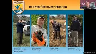 20230510 USFWS 2023 Red Wolf VPM Video Recording