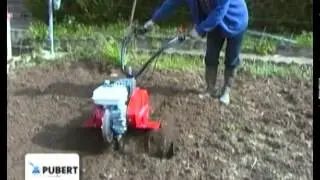 MOTOSAPA PUBERT ELITTE