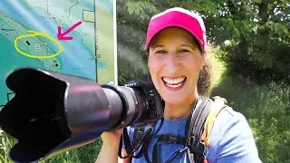 Surprises on the Trail! Wilderness Photography & Summer Hiking