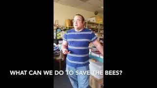 What Can We Do to Save the Bees?