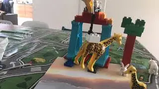 Giraffe val