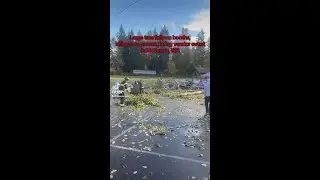 Fallen tree kills 1 at Pierce County Halloween event