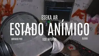 ESTADO ANIMICO - ECO INTERNO - ESEKA AR