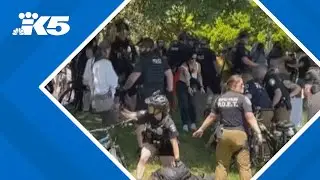 RAW: Seattle police arrest multiple people at Cal Anderson Park protest