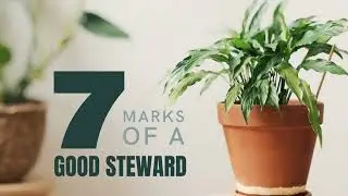 7 Marks of a Good Steward