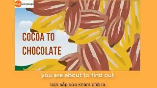 Process of making chocolate - IELTS Writing task 1 Process - MEGALANGUAGE