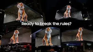 Galaxy Unpacked February 2022: Tiger in the city | Samsung